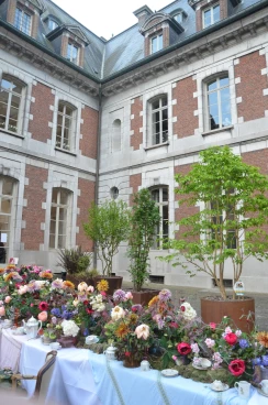 Amaryllis 2025 (005)