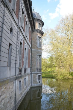 Amaryllis 2025 (001)