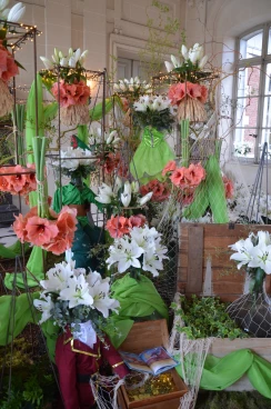 Amaryllis 2025 (019)