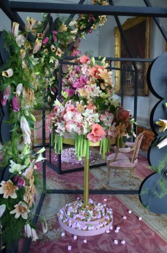 Amaryllis 2025 (035)