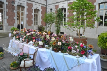 Amaryllis 2025 (004)