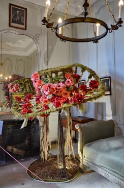 Amaryllis 2025 (029)