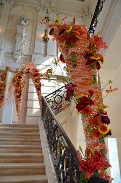 Amaryllis 2025 (014)