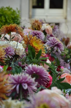 Amaryllis 2025 (010)