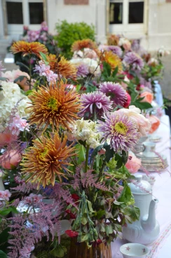 Amaryllis 2025 (008)