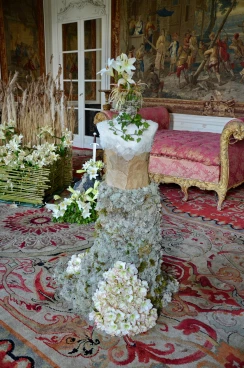 Amaryllis 2025 (039)