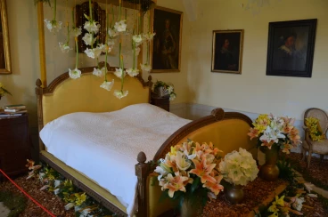 Amaryllis 2025 (095)