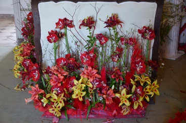 Amaryllis 2025 (085)