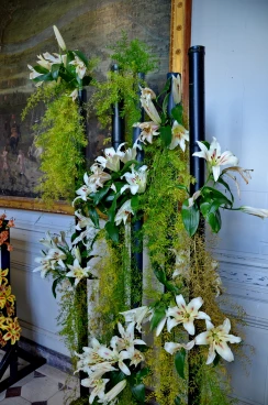 Amaryllis 2025 (059)