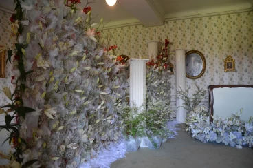 Amaryllis 2025 (084)