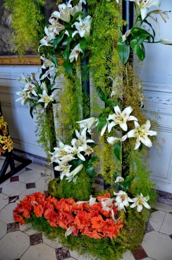 Amaryllis 2025 (058)