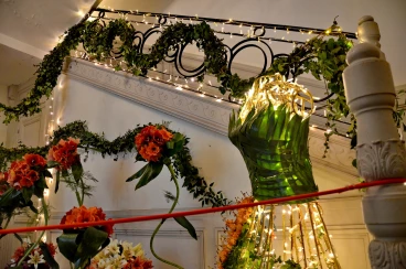 Amaryllis 2025 (065)