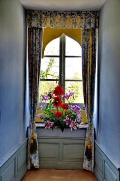 Amaryllis 2025 (073)