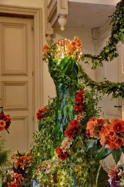 Amaryllis 2025 (067)