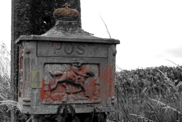 BAL 2022-06-19 15-15-08 1