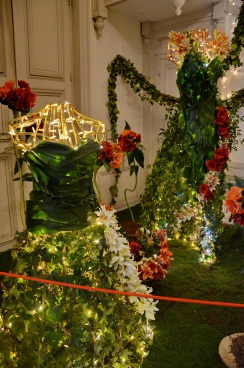 Amaryllis 2025 (063)