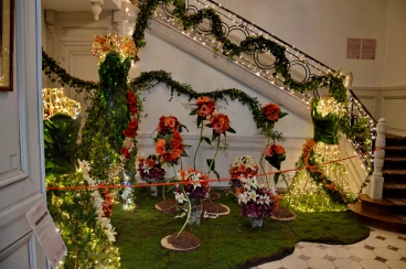 Amaryllis 2025 (062)