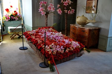 Amaryllis 2025 (072)