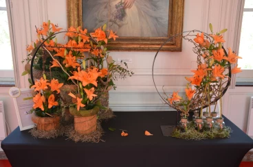 Amaryllis 2025 (131)