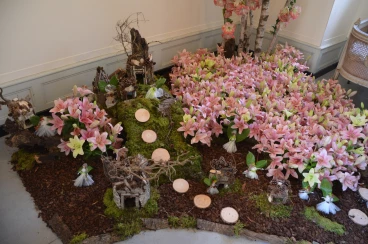 Amaryllis 2025 (110)