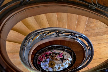 Amaryllis 2025 (121)