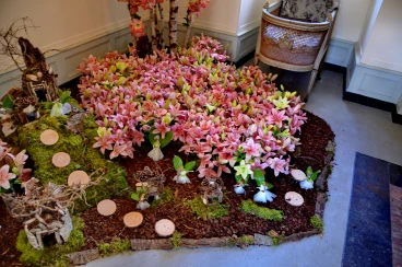 Amaryllis 2025 (111)