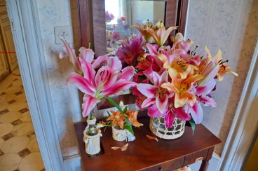 Amaryllis 2025 (105)