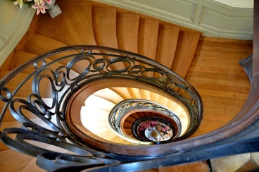 Amaryllis 2025 (117)