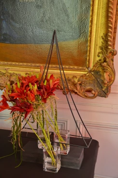 Amaryllis 2025 (136)