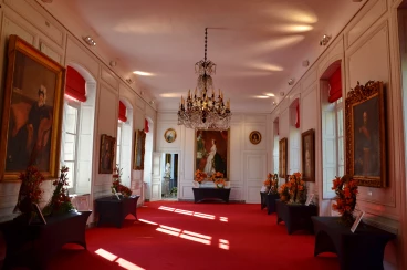 Amaryllis 2025 (137)