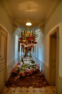 Amaryllis 2025 (106)