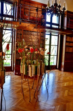 Amaryllis 2025 (143)