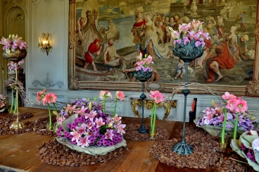 Amaryllis 2025 (163)