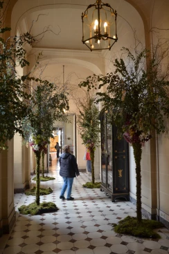 Amaryllis 2025 (148)