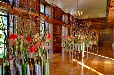 Amaryllis 2025 (145)