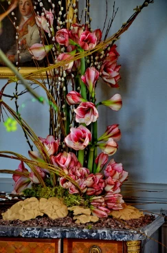 Amaryllis 2017A (017)