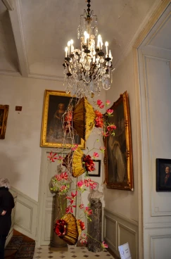 Amaryllis 2017A (044)