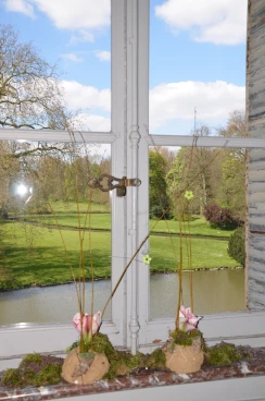 Amaryllis 2017A (016)