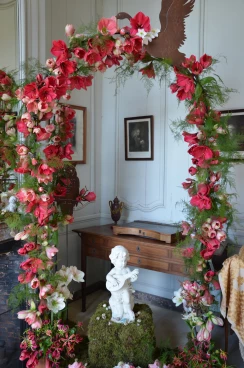 Amaryllis 2017A (006)