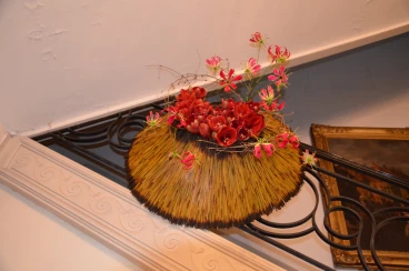 Amaryllis 2017A (049)