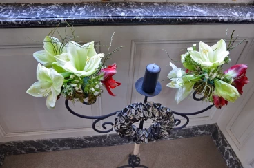 Amaryllis 2017A (021)