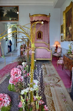 Amaryllis 2017A (010)