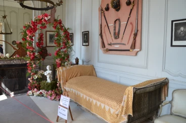 Amaryllis 2017A (001)