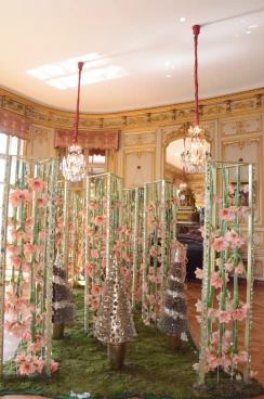 Amaryllis 2017A (105)