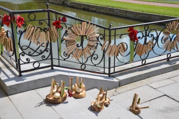 Amaryllis 2017A (109)