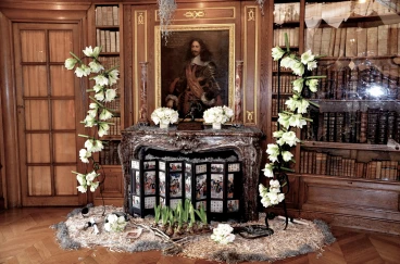 Amaryllis 2017A (080)