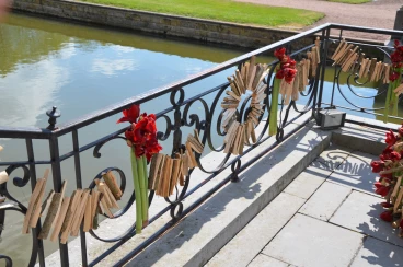 Amaryllis 2017A (110)