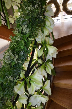 Amaryllis 2017A (068)