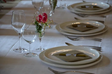 Amaryllis 2017A (091)