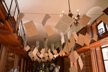 Amaryllis 2017A (072)